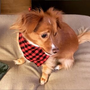 Meet your Posher, Kristen